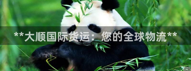 尊龙凯时口碑好吗：**大顺国际货运：您的全球物流**