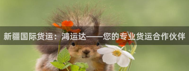 尊龙凯时百万奖池：新疆国际货运：鸿运达——您的专业货运合
