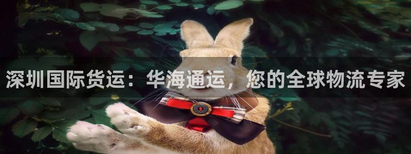 z6com尊龙凯时：深圳国际货运：华海通运，您的全球物流