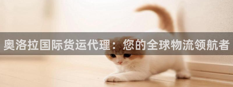 尊龙凯时代理：奥洛拉国际货运代理：您的全球物流领航者