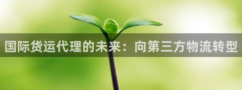 尊龙凯时网站网址：国际货运代理的未来：向第三方物流转型