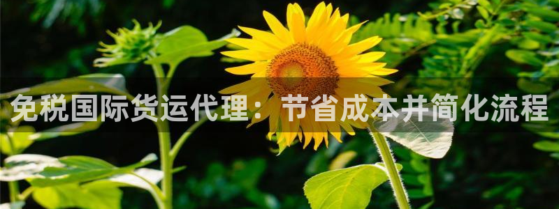 尊龙凯时家居是品牌吗：免税国际货运代理：节省成本并简化流