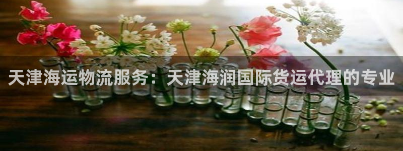 尊龙ag旗舰厅下载：天津海运物流服务：天津海润国际货运代