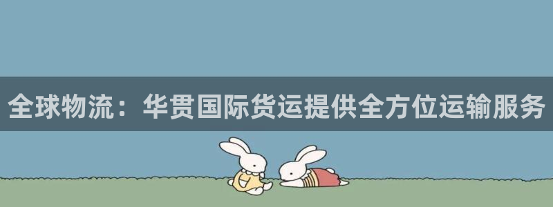 尊龙人生就是搏：全球物流：华贯国际货运提供全方位运输服务