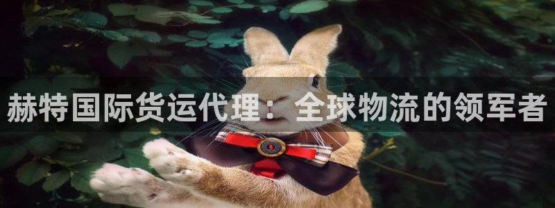 尊龙凯时官网网页版：赫特国际货运代理：全球物流的领军者