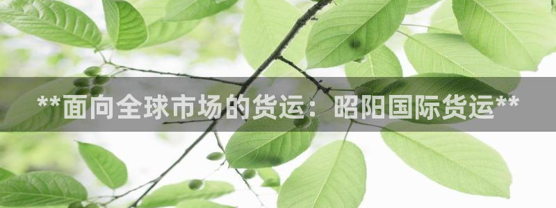 尊龙用现金一下-直接访问agbaofu.wang|ag暴