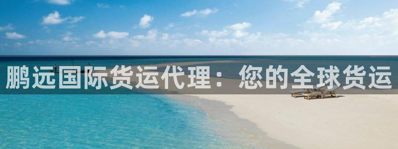 尊龙凯时公司官网：鹏远国际货运代理：您的全球货运