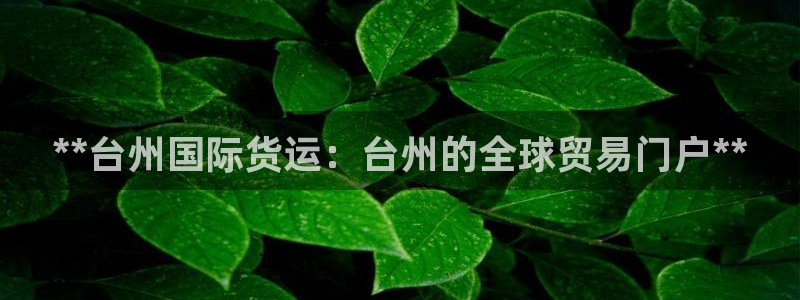 尊龙AG旗舰店：**台州国际货运：台州的全球贸易门户**