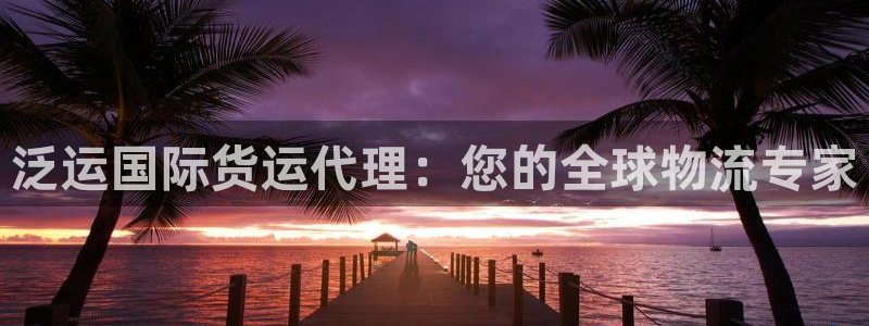 尊龙官网免费下载安卓：泛运国际货运代理：您的全球物流专家