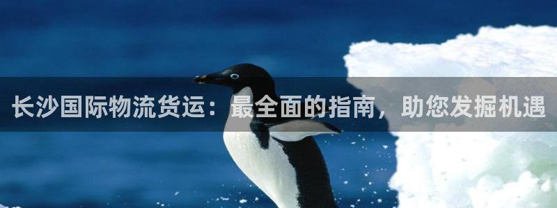 尊龙凯时人生就是搏 品牌专区：长沙国际物流货运：最全面的