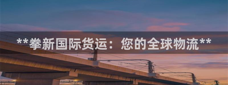 尊龙官网网页版：**拳新国际货运：您的全球物流**