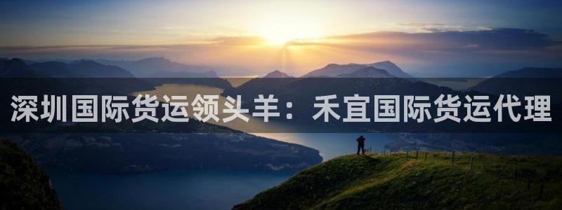 尊龙凯时人生就是博中国官网：深圳国际货运领头羊：禾宜国际