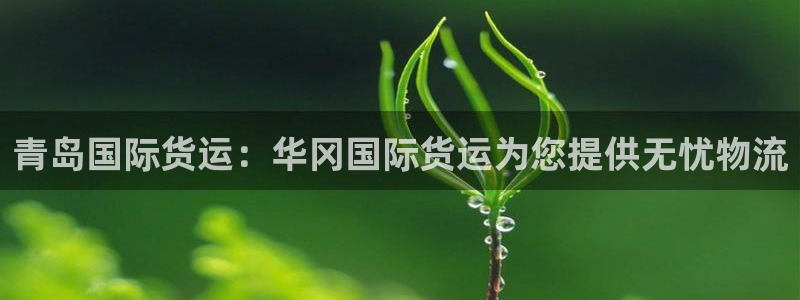 尊龙一人生就是博电子游戏：青岛国际货运：华冈国际货运为您