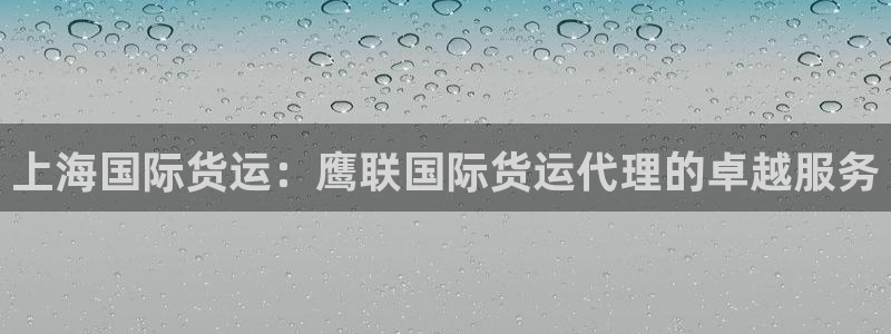尊龙人生就是博手机版下载：上海国际货运：鹰联国际货运代理
