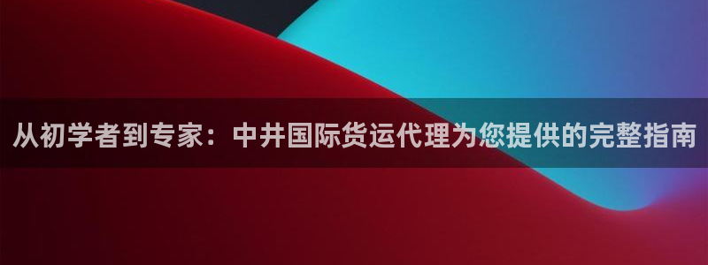 尊龙凯时有假么：从初学者到专家：中井国际货运代理为您提供