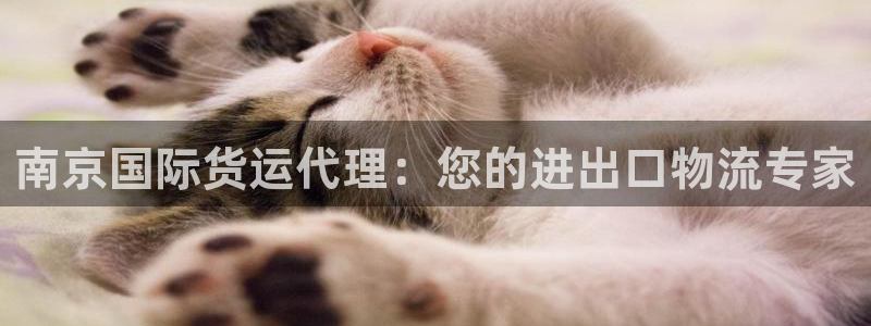 尊龙凯时人生就是搏 品牌专区：南京国际货运代理：您的进出