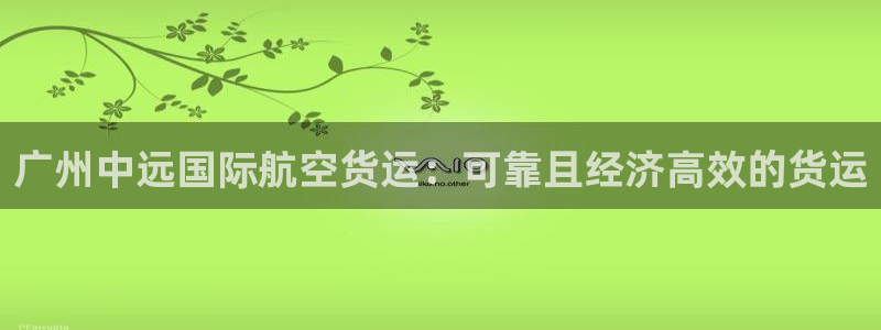 尊龙凯时人生就是搏 品牌专区：广州中远国际航空货运：可靠