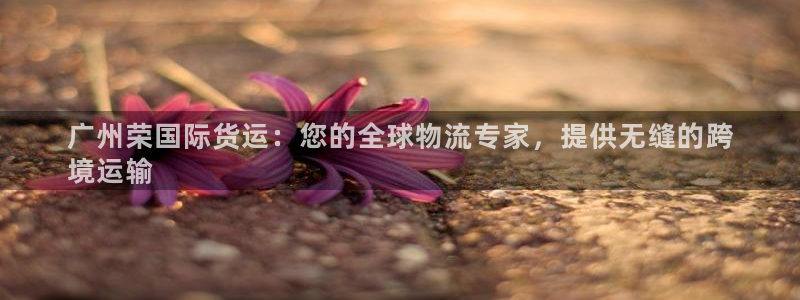 尊龙1003尊龙 - 百度：广州荣国际货运：您的全球物流