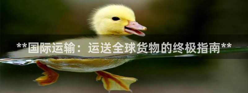 尊龙凯时手机版·(中国)官方网站：**国际运输：运送全球