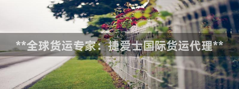 尊龙凯时 - 人生就是搏!：**全球货运专家：捷爱士国际