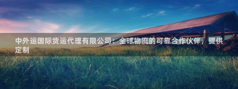尊龙凯时处理未到账：中外运国际货运代理有限公司：全球物流