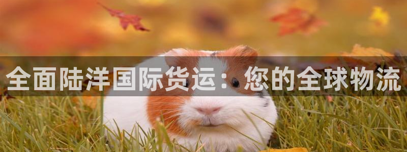 尊龙凯时城游戏官网：全面陆洋国际货运：您的全球物流