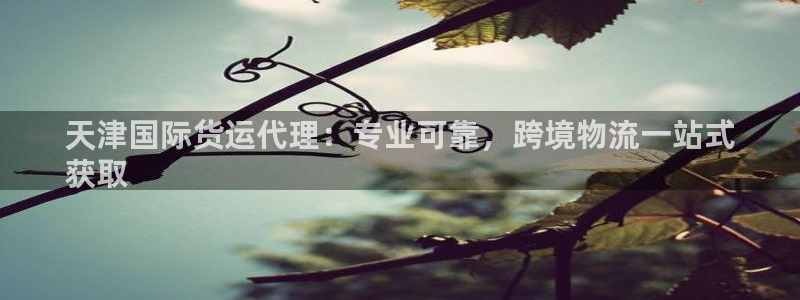 尊龙凯时官网平台：天津国际货运代理：专业可靠，跨境物流一