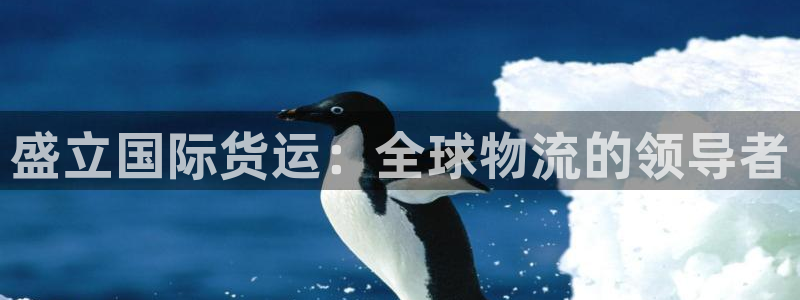 尊龙凯时人生就是博中国官网：盛立国际货运：全球物流的领导