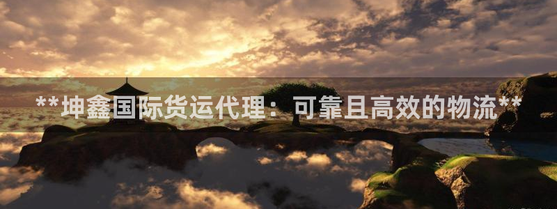 尊龙d88手机app免费下载：**坤鑫国际货运代理：可靠