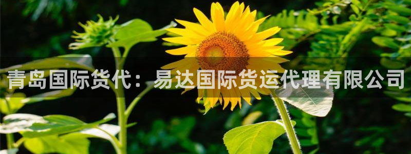 尊龙实业有限公司：青岛国际货代：易达国际货运代理有限公司