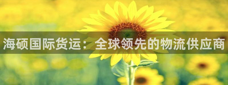 尊龙2021年最新消息：海硕国际货运：全球领先的物流供应