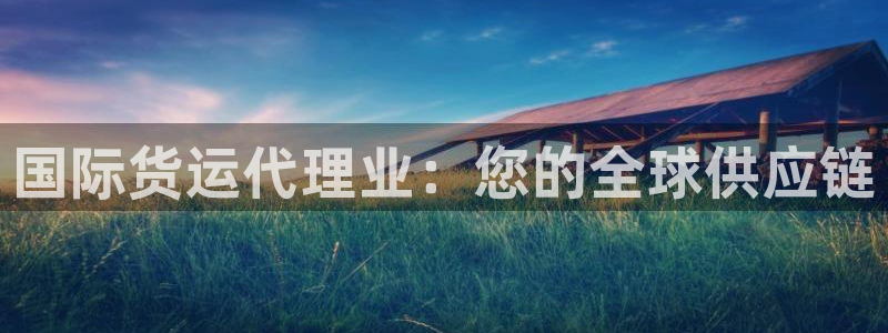 尊龙凯时不给提款：国际货运代理业：您的全球供应链