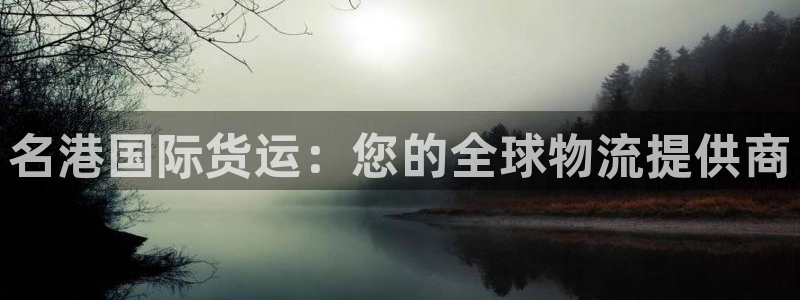 尊龙凯时人生就是搏z6com：名港国际货运：您的全球物流