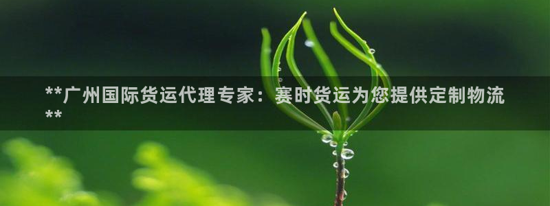 尊龙人品怎么样：**广州国际货运代理专家：赛时货运为您提