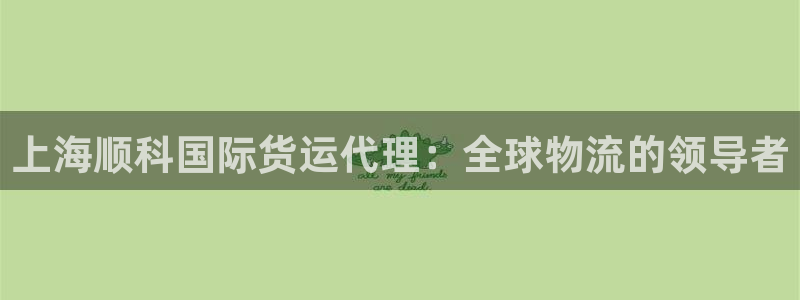 尊龙凯时老板是谁：上海顺科国际货运代理：全球物流的领导者