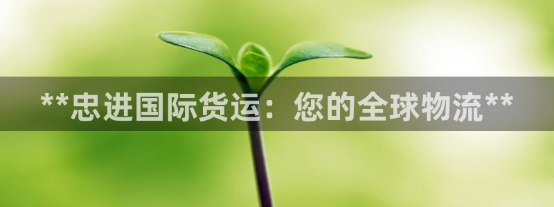 尊龙凯时下载人生就是博：**忠进国际货运：您的全球物流*