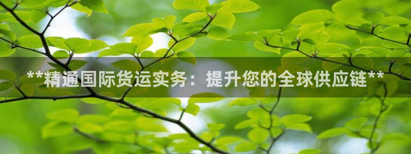 尊龙凯时下载人生就是博：**精通国际货运实务：提升您的全