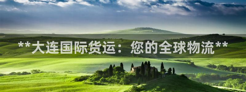 尊龙 ag：**大连国际货运：您的全球物流**
