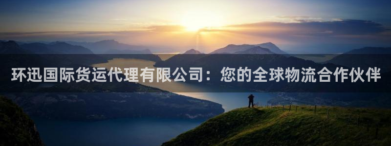 尊龙凯时游戏厅：环迅国际货运代理有限公司：您的全球物流合