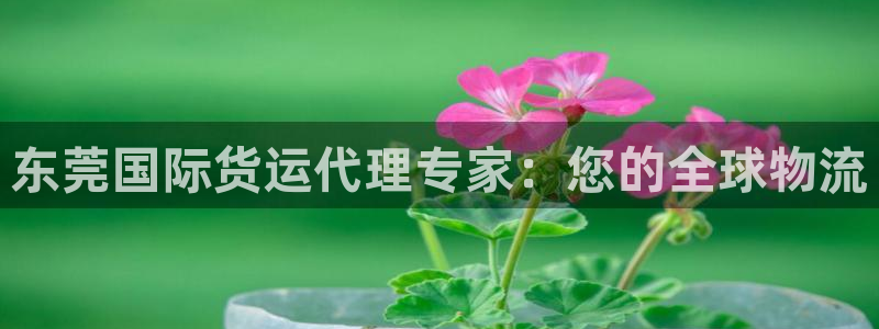 尊龙凯时网站首页手机登录：东莞国际货运代理专家：您的全球