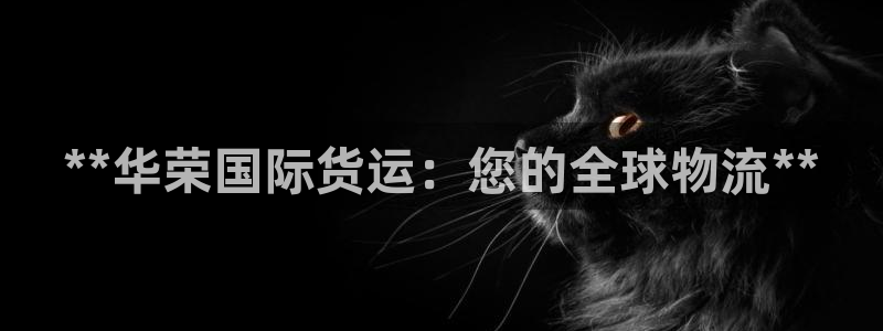 尊龙尊龙：**华荣国际货运：您的全球物流**