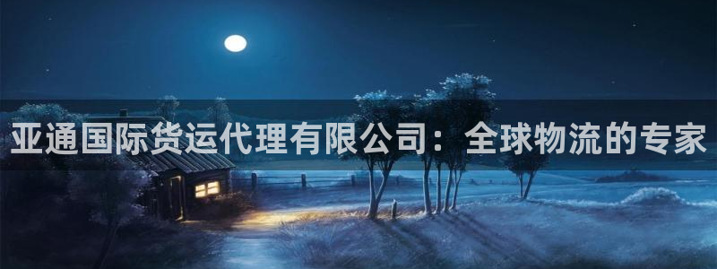 Z6尊龙官网入口：亚通国际货运代理有限公司：全球物流的专