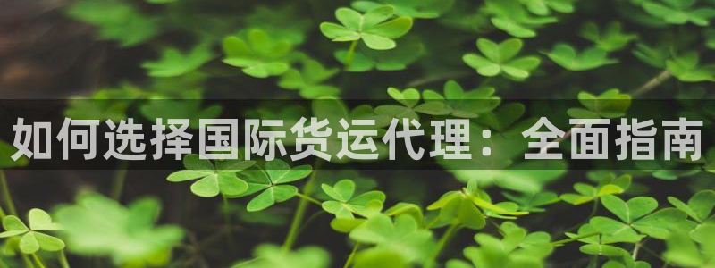 尊龙凯时注册地址：如何选择国际货运代理：全面指南