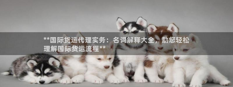 尊龙人生就是博AG：**国际货运代理实务：名词解释大全，
