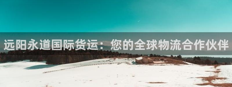 尊龙凯时请求参数不符合：远阳永道国际货运：您的全球物流合