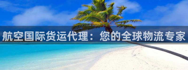 尊龙凯时品牌介绍：航空国际货运代理：您的全球物流专家