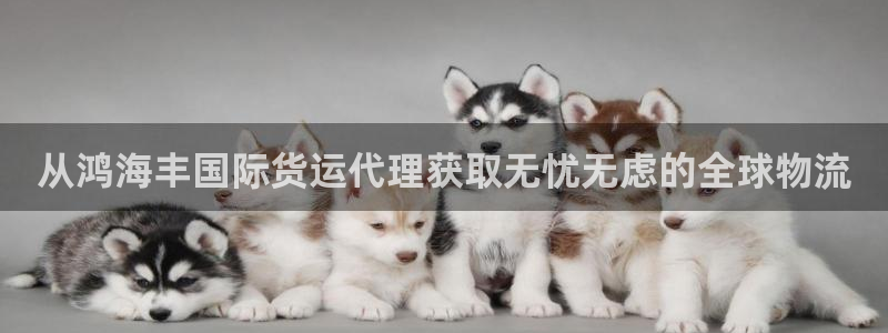 尊龙人生就是博送38：从鸿海丰国际货运代理获取无忧无虑的