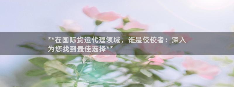 尊龙用现金一下可靠送38元：**在国际货运代理领域，谁是