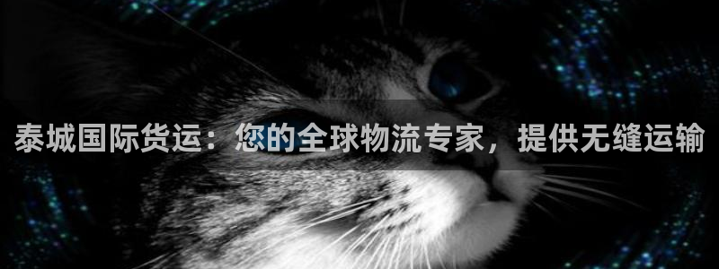 尊龙人生手机版都去ag发财网：泰城国际货运：您的全球物流