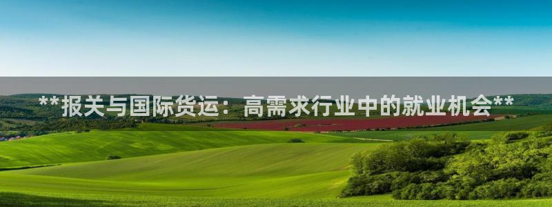 尊龙现金推荐ag发财网：**报关与国际货运：高需求行业中